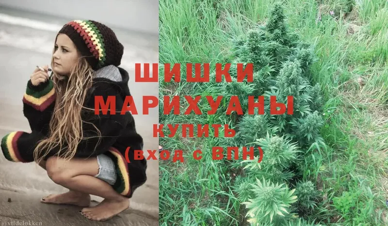 Канабис White Widow  Иннополис 